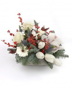 Imaginea produsului Omăt Proaspăt Imaginea produsului Omăt Proaspăt