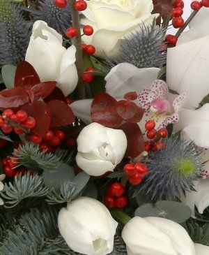 Imaginea produsului Omăt Proaspăt