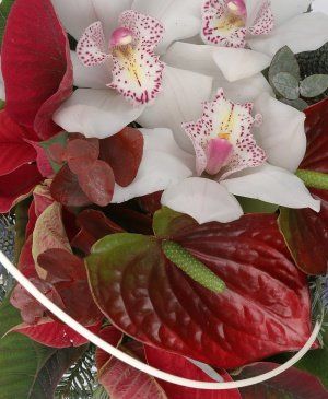 Imaginea produsului Fericiți împreună