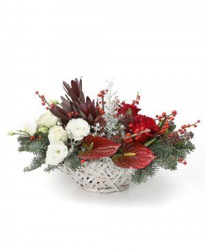 Imaginea produsului Splendoare Nemărginită Imaginea produsului Splendoare Nemărginită