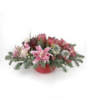 Imaginea produsului Bucurie Fără Cuvinte Imaginea produsului Bucurie Fără Cuvinte