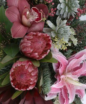 Imaginea produsului Bucurie Fără Cuvinte