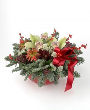 Imaginea produsului Zâmbete De Sărbătoare Imaginea produsului Zâmbete De Sărbătoare