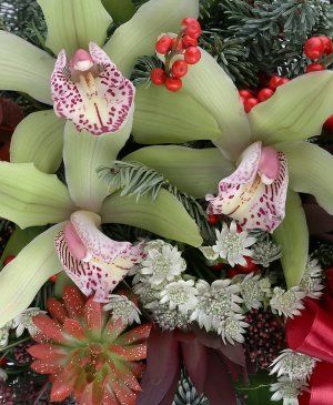 Imaginea produsului Zâmbete De Sărbătoare