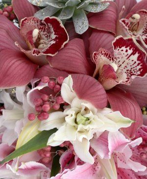 Imaginea produsului Extravaganță De Sezon