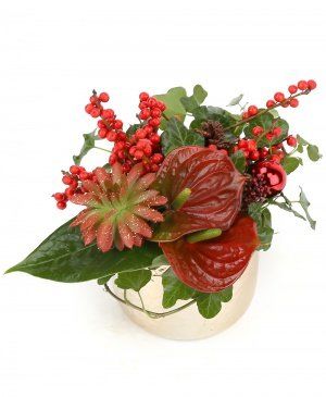 Imaginea produsului Sărbătoare Luxuriantă Imaginea produsului Sărbătoare Luxuriantă