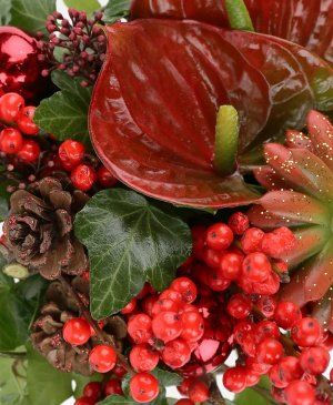 Imaginea produsului Sărbătoare Luxuriantă