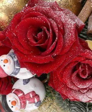 Imaginea produsului Crăciunul Magic