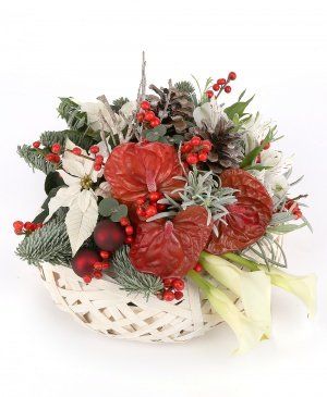 Imaginea produsului Sărbătoare Glorioasă