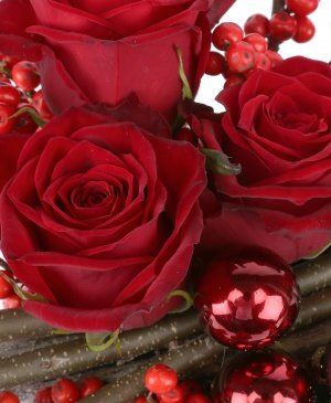 Imaginea produsului Iubire Dăruită