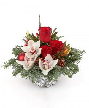 Imaginea produsului Culorile Crăciunului