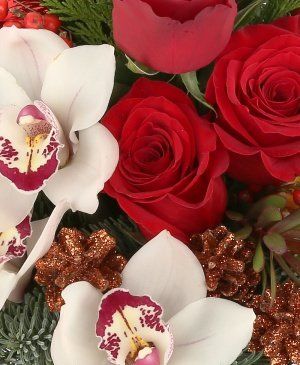 Imaginea produsului Culorile Crăciunului