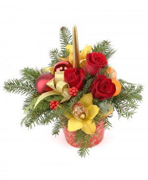 Imaginea produsului Magie Luminoasă