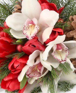 Imaginea produsului Perfecțiune Adorată