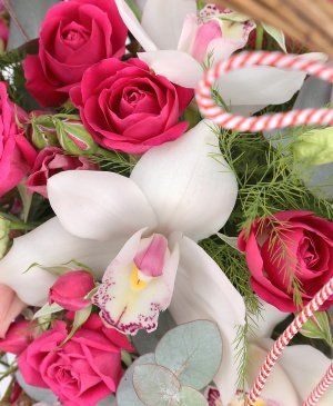 Imaginea produsului Zâmbete De Martie