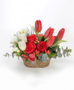 Imaginea produsului Admirație Sinceră