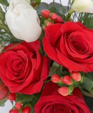 Imaginea produsului Admirație Sinceră