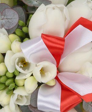 Imaginea produsului Adorație Adevărată