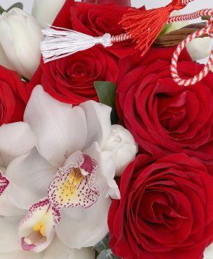 Imaginea produsului Apreciere Binevenită