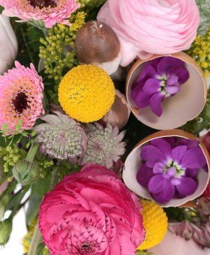 Imaginea produsului Favoare Colorată