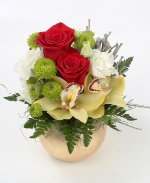 Imaginea produsului Zâmbet Protector