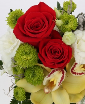 Imaginea produsului Zâmbet Protector