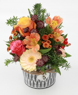 Imaginea produsului Surâs Minunat Imaginea produsului Surâs Minunat