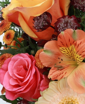 Imaginea produsului Surâs Minunat