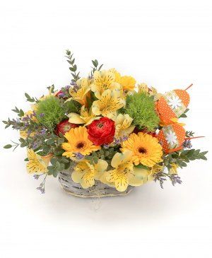 Imaginea produsului Prietenie Aurită Imaginea produsului Prietenie Aurită