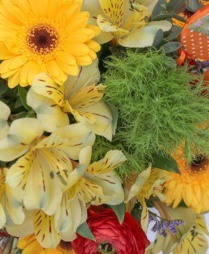 Imaginea produsului Prietenie Aurită