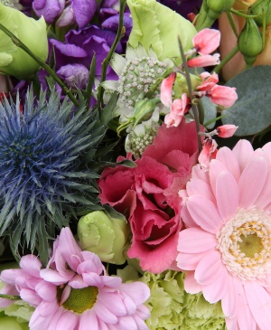 Imaginea produsului Potrivire Desăvârșită