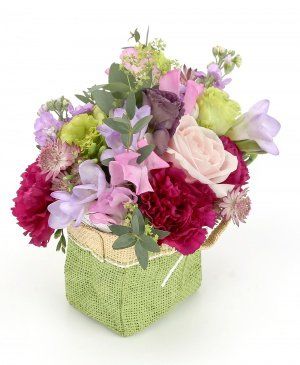 Imaginea produsului Visul Tău Imaginea produsului Visul Tău