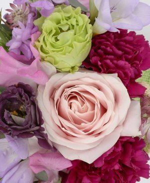 Imaginea produsului Visul Tău