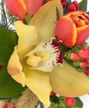 Imaginea produsului Răsărit Exotic