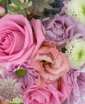 Imaginea produsului Frumusețe Deplină