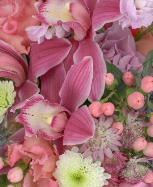 Imaginea produsului Perfecţiunea Clipei