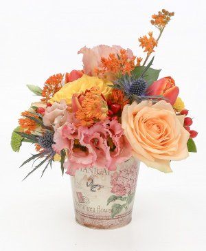 Imaginea produsului Lumină Splendidă Imaginea produsului Lumină Splendidă