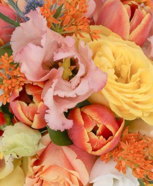 Imaginea produsului Lumină Splendidă