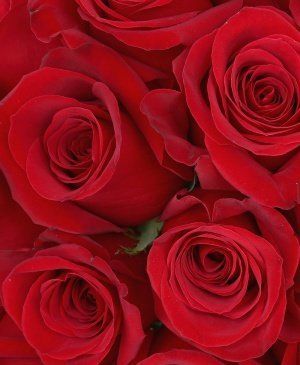 Imaginea produsului 31 Trandafiri Roșii în Cutie