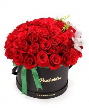 Imaginea produsului 51 Trandafiri Roșii Cu Orhidee Albă în Cutie Imaginea produsului 51 Trandafiri Roșii Cu Orhidee Albă în Cutie
