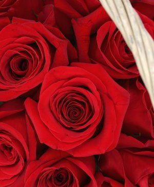 Imaginea produsului 23 Trandafiri Roșii In Coș