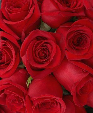 Imaginea produsului 17 Trandafiri Roșii In Cutie