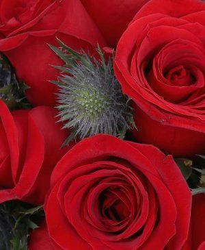 Imaginea produsului Pasiune Cu Scântei