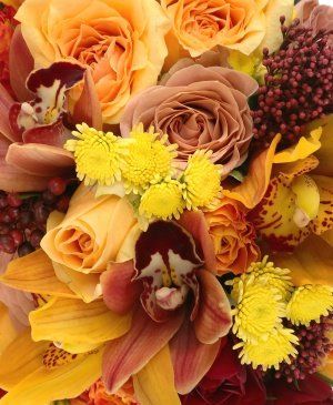 Imaginea produsului Bogăție Specială