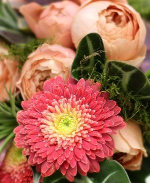 Imaginea produsului Eleganță Excepțională