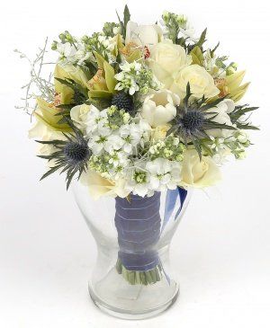 Imaginea produsului Minuni Strălucitoare Imaginea produsului Minuni Strălucitoare