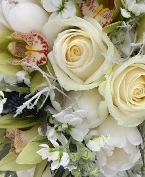 Imaginea produsului Minuni Strălucitoare