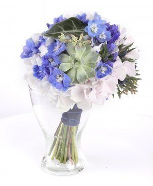 Imaginea produsului înțelegere Deplină Imaginea produsului înțelegere Deplină