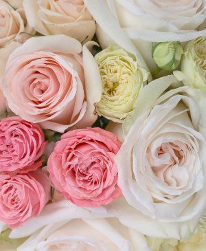 Imaginea produsului Poezie De Lumină