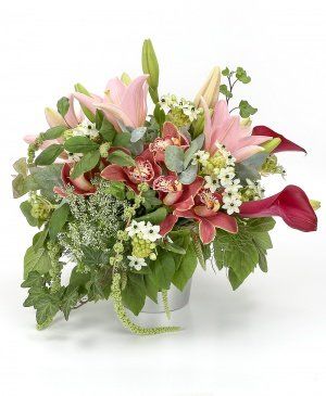 Imaginea produsului Adevărată Eleganță Imaginea produsului Adevărată Eleganță